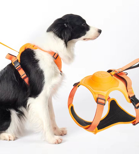 Dog Collar Harness for Medium Large Dogs Explosion-Proof Punch Breathable Adjustable Pet Harness Vest Outdoor Outdoor Training