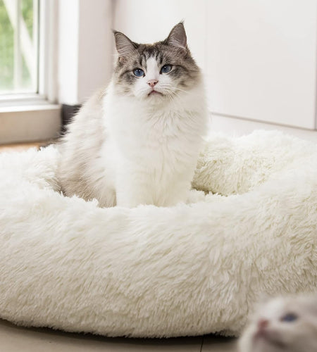 anti Anxiety round Fluffy Plush Faux Fur Warm Washable Dog Bed & Cat Bed, Original Bed for Small Medium Large Pets,Used to Relieve Joints and Improve Sleep（20"/24"/27''） (27", White)