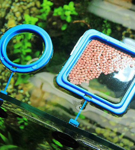 Fish Food Feeding Ring Aquarium Fish Tank Fish Feeder for Tropical Fish Food Feeding Assistant Pet Aquarium Accessories